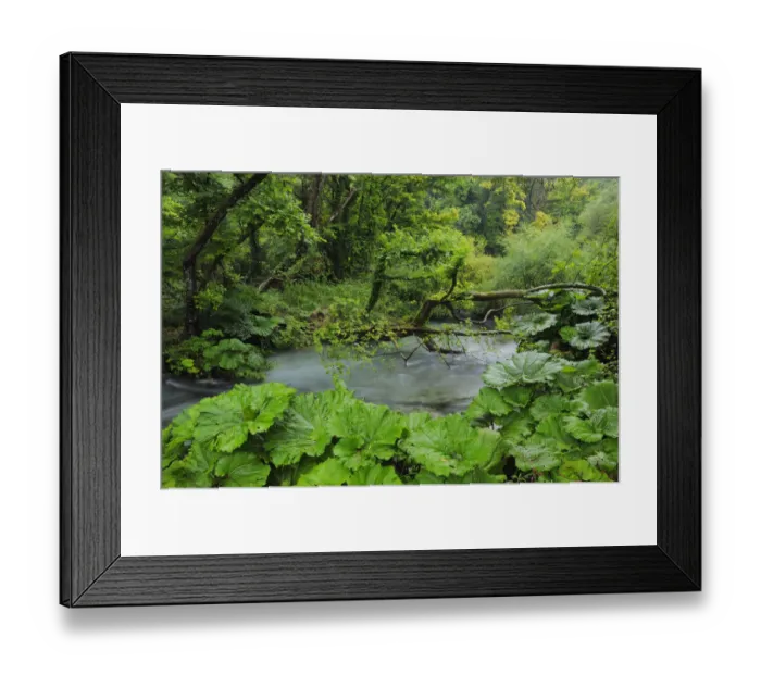 Framed Print : River near Syri i Kalter (The Blue Eye) spring, Albania, June 2009 WWE BOOK Framed Print : River near Syri i Kalter (The Blue Eye) spring, Albania, June 2009 WWE BOOK