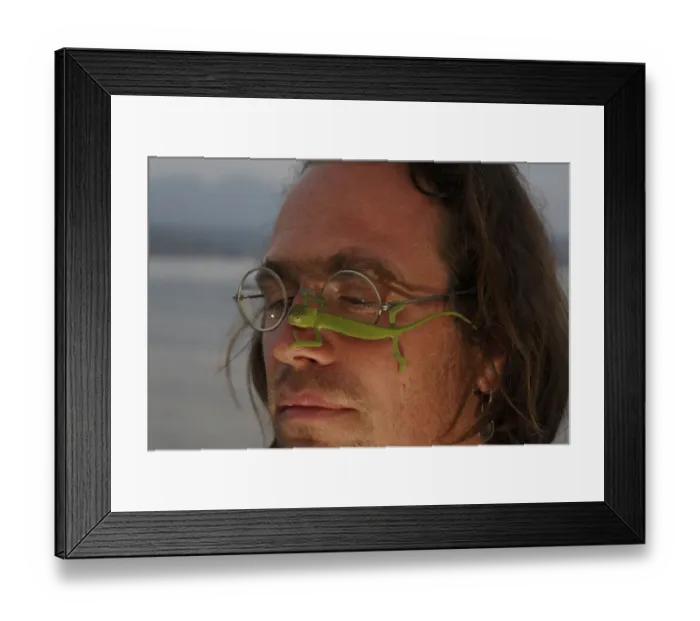 Framed Print : Photographer, Christian Ziegler, with a juvenile African chameleon (Chamaeleo africanus) Framed Print : Photographer, Christian Ziegler, with a juvenile African chameleon (Chamaeleo africanus)