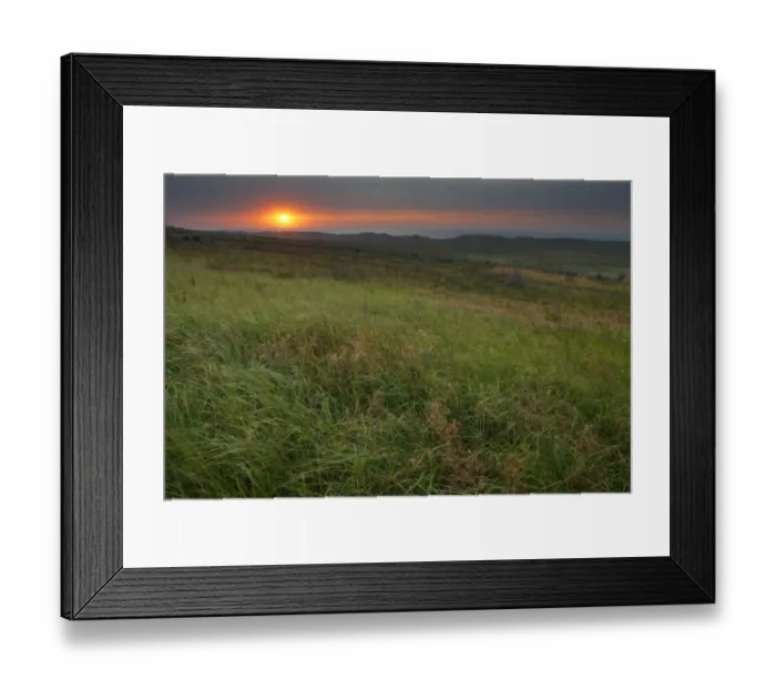Framed Print : Steppe landscape at sunset, Bagerova Steppe, Kerch Peninsula, Crimea, Ukraine, July 2009 Framed Print : Steppe landscape at sunset, Bagerova Steppe, Kerch Peninsula, Crimea, Ukraine, July 2009
