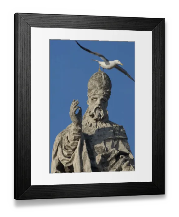 Framed Print : Herring gull (Larus argentatus) taking off from head of statue of St Peter, Vatican City Framed Print : Herring gull (Larus argentatus) taking off from head of statue of St Peter, Vatican City