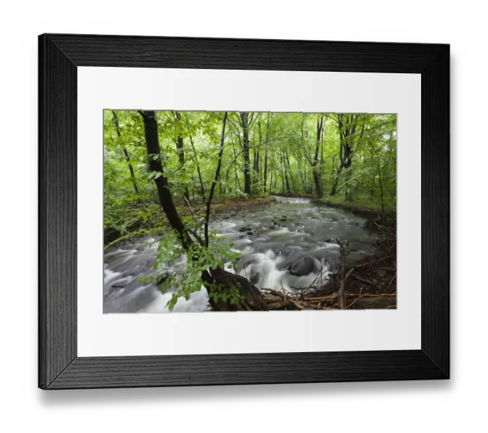Framed Print : Okna river, Morske Oko Reserve, Vihorlat Mountains, East Slovakia, Europe, June 2008 Framed Print : Okna river, Morske Oko Reserve, Vihorlat Mountains, East Slovakia, Europe, June 2008
