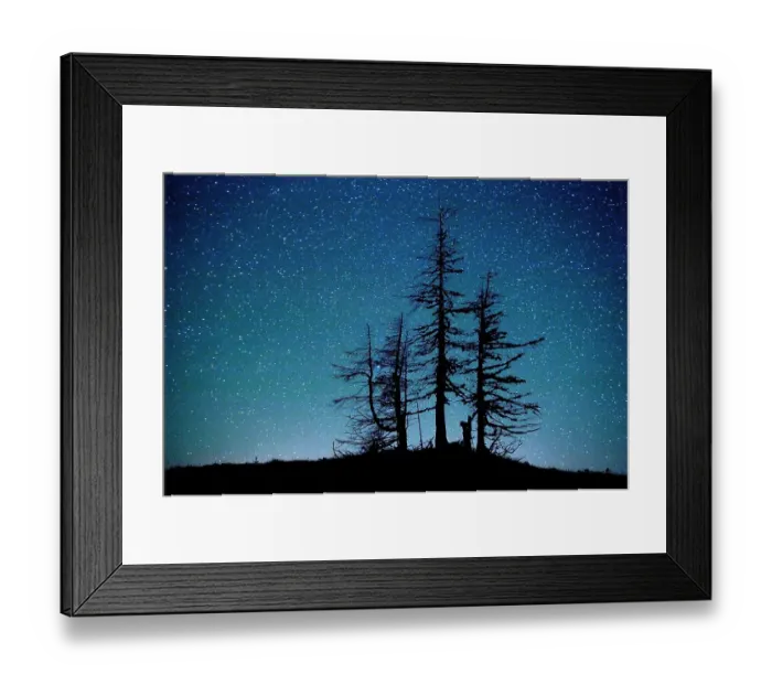 Framed Print : Dead Pine trees at night on Stuoc peak, Durmitor NP, Montenegro, October 2008 Framed Print : Dead Pine trees at night on Stuoc peak, Durmitor NP, Montenegro, October 2008