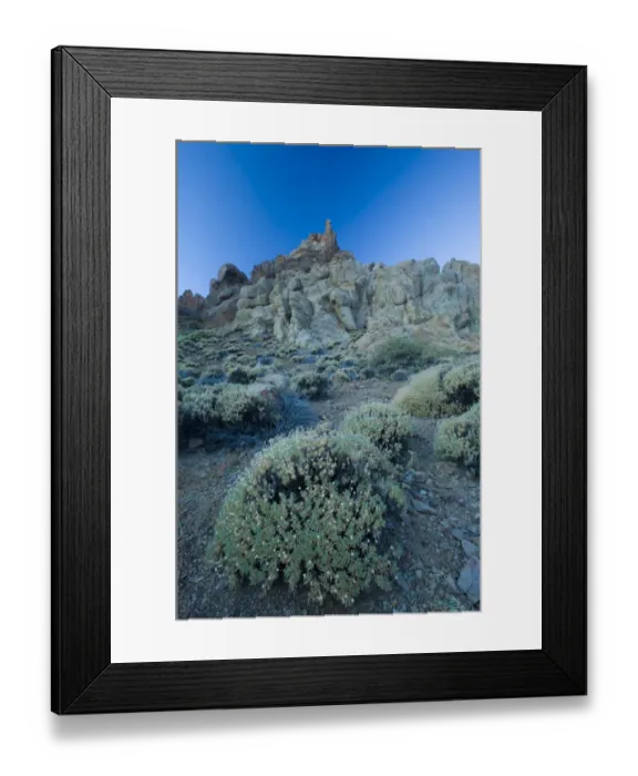 Framed Print : Pterocephalus lasiospermus with rock formations in the distance, Los Roques de Garcia Framed Print : Pterocephalus lasiospermus with rock formations in the distance, Los Roques de Garcia