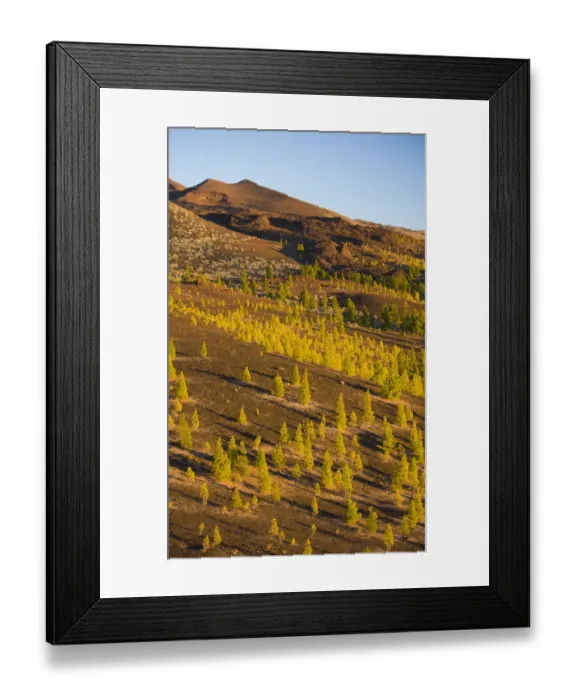 Framed Print : Pico Viejo volcano (2, 909m) viewed from Montaa Samara at sunset, Teide National Park Framed Print : Pico Viejo volcano (2, 909m) viewed from Montaa Samara at sunset, Teide National Park