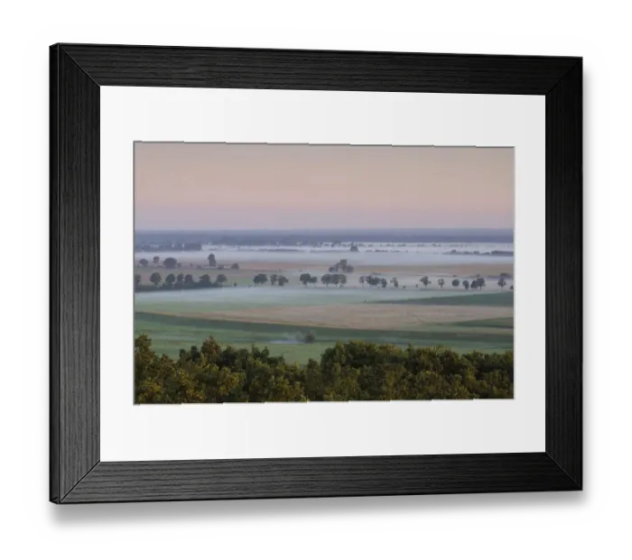 Framed Print : Lenzer Wische with light low lying mist at dawn, Elbe Biosphere Reserve, Lower Saxony Framed Print : Lenzer Wische with light low lying mist at dawn, Elbe Biosphere Reserve, Lower Saxony