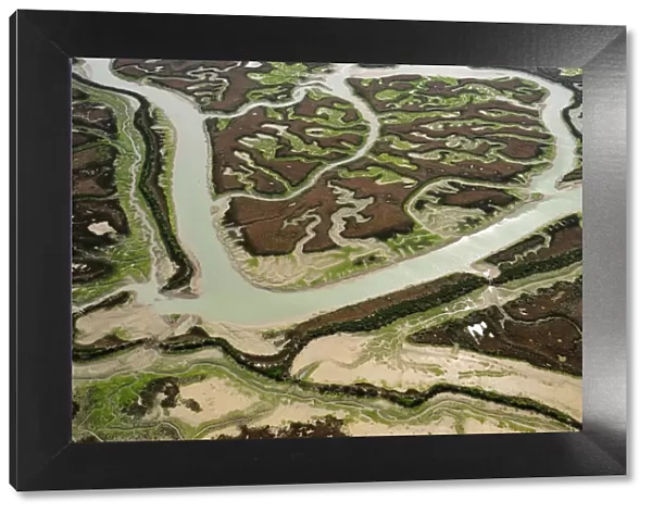 Aerial view of river in marshes at low tide exposing Seaweed, Baha de Cdiz Natural Park