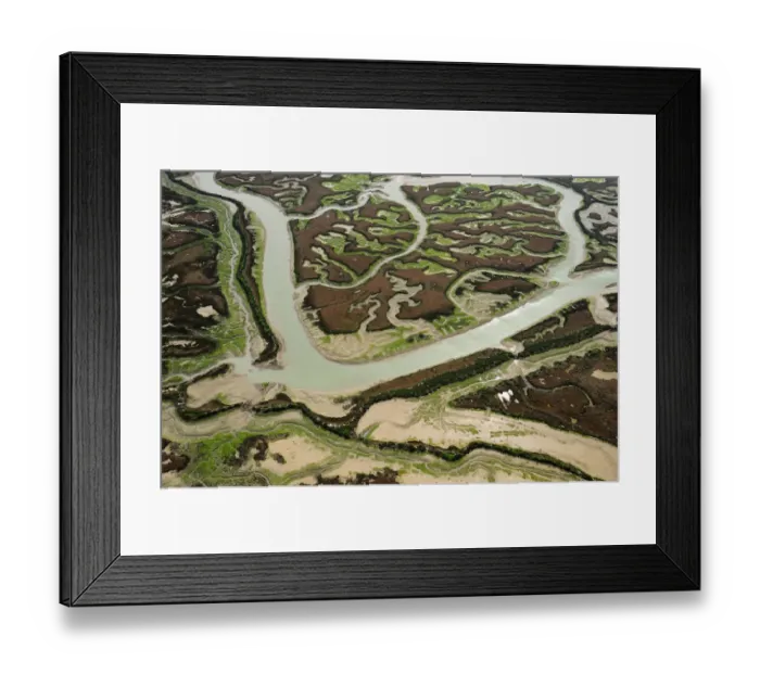 Framed Print : Aerial view of river in marshes at low tide exposing Seaweed, Baha de Cdiz Natural Park Framed Print : Aerial view of river in marshes at low tide exposing Seaweed, Baha de Cdiz Natural Park