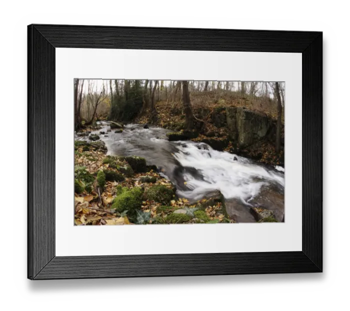 Framed Print : Brown trout (Salmo trutta) habitat, Bornholm, Denmark, November 2008 Framed Print : Brown trout (Salmo trutta) habitat, Bornholm, Denmark, November 2008