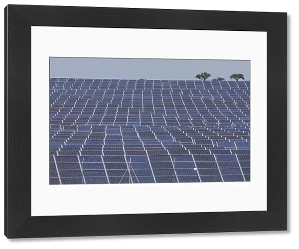 Mass of solar panels, La Serena, Extremadura, Spain, April 2009