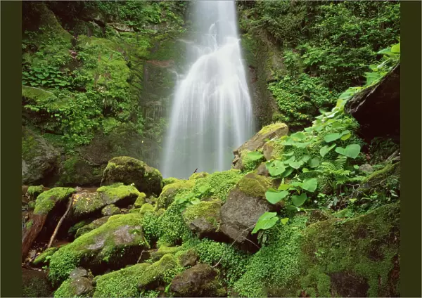 Waterfall, Mtirala National Park, Georgia, May 2008