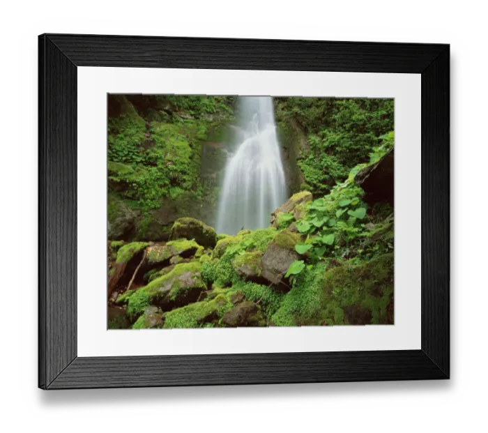 Framed Print : Waterfall, Mtirala National Park, Georgia, May 2008 Framed Print : Waterfall, Mtirala National Park, Georgia, May 2008