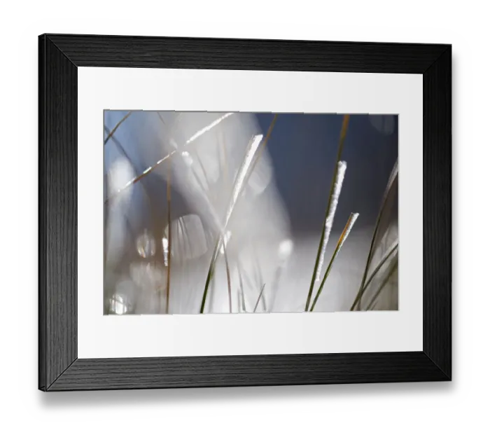 Framed Print : Snow on grass, Durmitor NP, Montenegro, October 2008 Framed Print : Snow on grass, Durmitor NP, Montenegro, October 2008