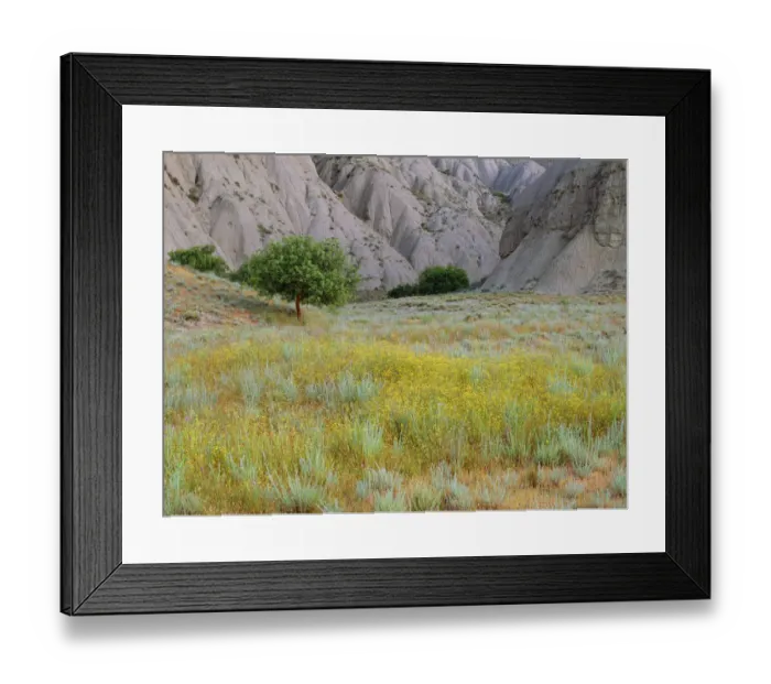 Framed Print : Flowering semi-desert with badlands in the distance, Vashlovani National Park, Georgia