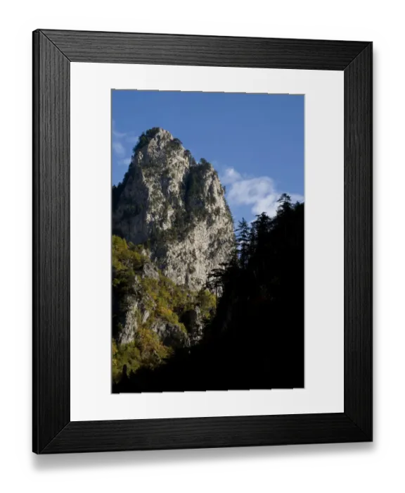 Framed Print : Black pines (Pinus nigra) growing on top of Gradinski Kuk, Tara Canyon, Durmitor NP Framed Print : Black pines (Pinus nigra) growing on top of Gradinski Kuk, Tara Canyon, Durmitor NP