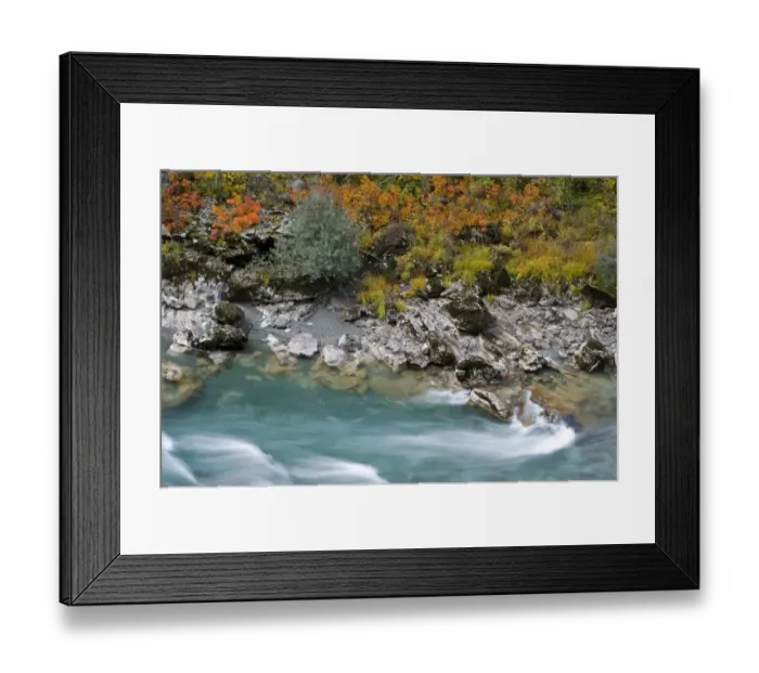 Framed Print : River Tara with autumnal vegetation on bank, Durmitor NP, Montenegro, October 2008 Framed Print : River Tara with autumnal vegetation on bank, Durmitor NP, Montenegro, October 2008