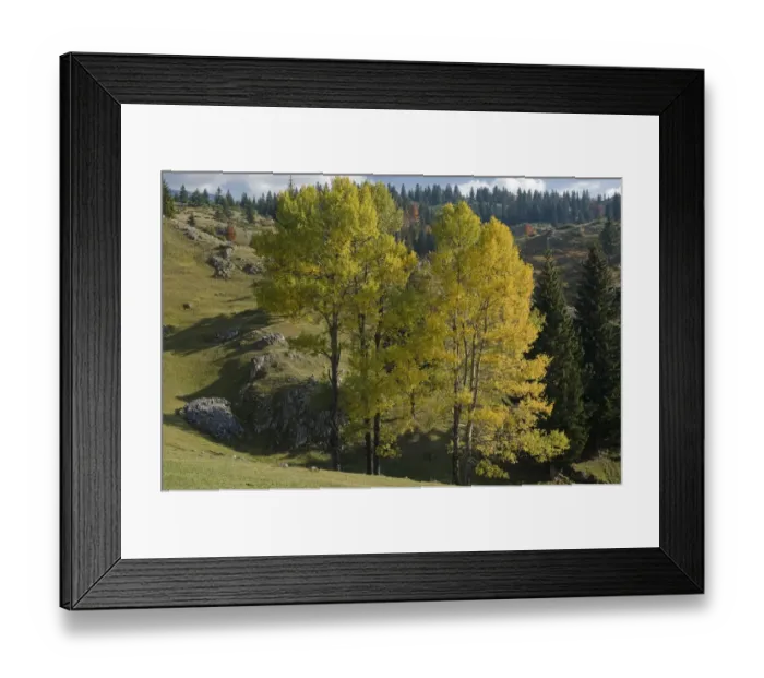 Framed Print : View from Plateau, Durmitor NP, Montenegro, October 2008 Framed Print : View from Plateau, Durmitor NP, Montenegro, October 2008