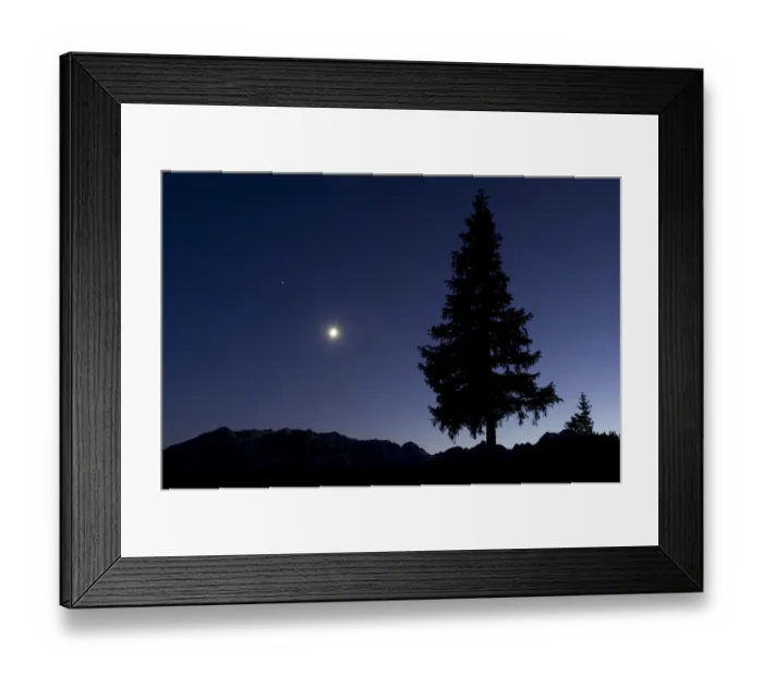 Framed Print : Pine tree at night with moon shining, on Stuoc peak, Durmitor NP, Montenegro, October Framed Print : Pine tree at night with moon shining, on Stuoc peak, Durmitor NP, Montenegro, October