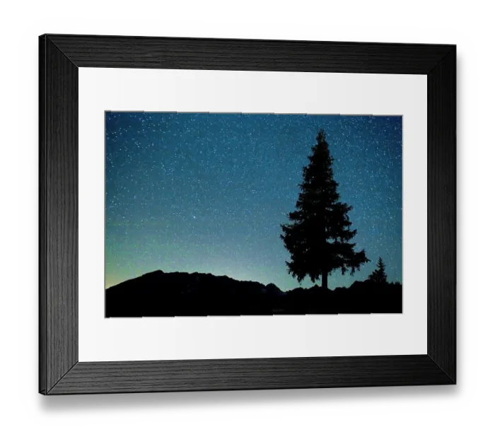 Framed Print : Pine tree at night on Stuoc peak, Durmitor NP, Montenegro, October 2008 Framed Print : Pine tree at night on Stuoc peak, Durmitor NP, Montenegro, October 2008