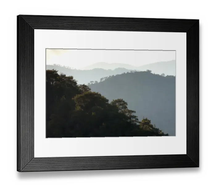Framed Print : Forest covered hills in Troodos mountains, Cyprus, April 2009 Framed Print : Forest covered hills in Troodos mountains, Cyprus, April 2009