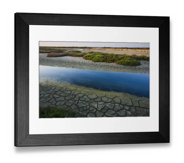 Framed Print : Canal with drought patterns near Etang du Fangassier, Camargue, France, May 2009 Framed Print : Canal with drought patterns near Etang du Fangassier, Camargue, France, May 2009