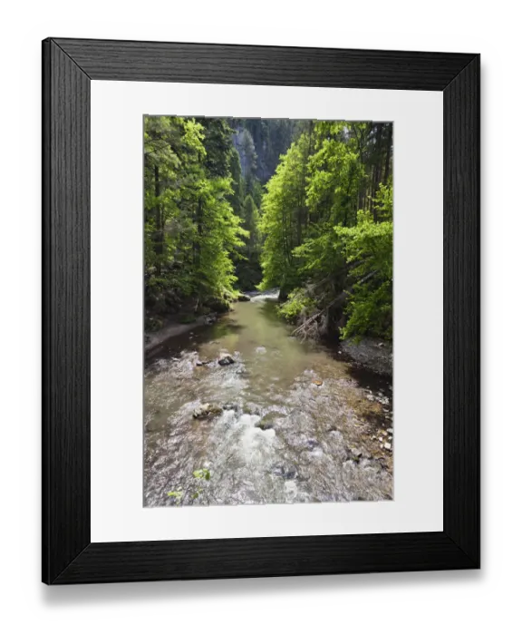 Framed Print : Hornad River flowing through the Hornad Canyon, Slovak Paradise National Park, Slovensky Raj Framed Print : Hornad River flowing through the Hornad Canyon, Slovak Paradise National Park, Slovensky Raj