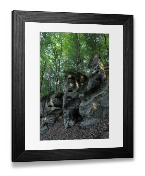 Framed Print : Sandstone formations and Beech trees (Fagus sylvatica) Echternach, Mullerthal, Luxembourg Framed Print : Sandstone formations and Beech trees (Fagus sylvatica) Echternach, Mullerthal, Luxembourg