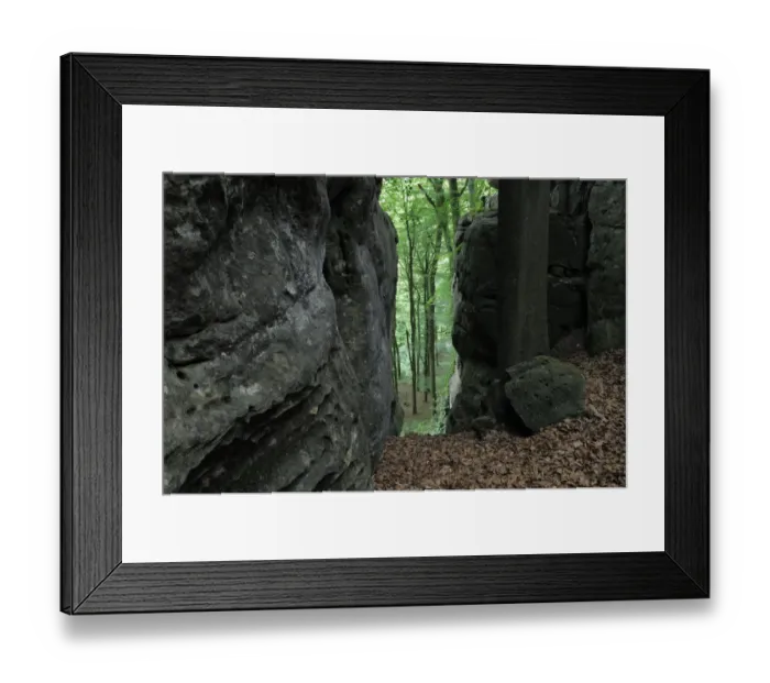 Framed Print : Sandstone formations in forest with Beech trees (Fagus sylvatica) Consdorf, Mullerthal Framed Print : Sandstone formations in forest with Beech trees (Fagus sylvatica) Consdorf, Mullerthal