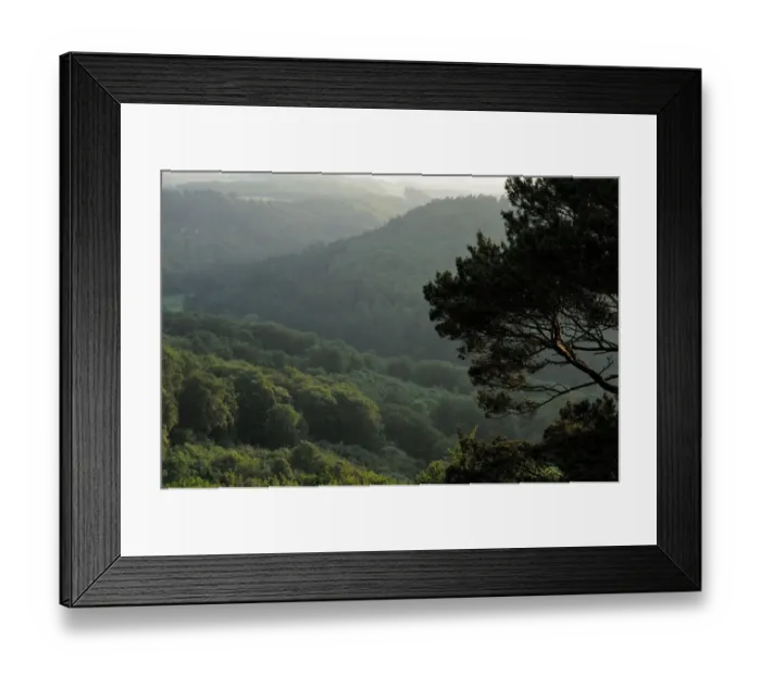 Framed Print : View of woods near Berdorf, Mullerthal, Luxembourg, May 2009 Framed Print : View of woods near Berdorf, Mullerthal, Luxembourg, May 2009