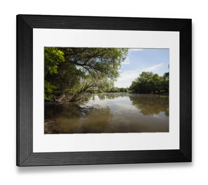 Framed Print : Backwater of Latorica River, Eastern Slovakia, Europe, June 2009 Framed Print : Backwater of Latorica River, Eastern Slovakia, Europe, June 2009