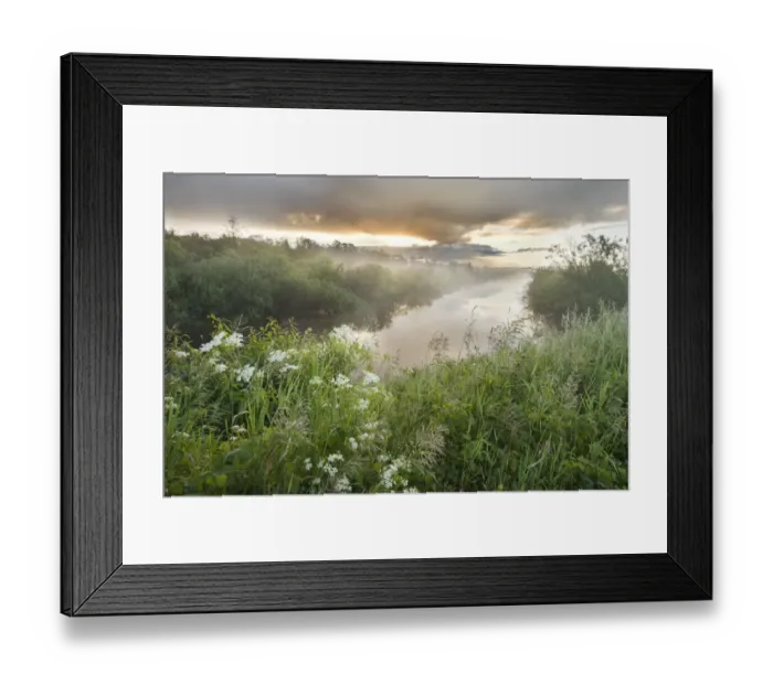 Framed Print : Dawn light over wetland habitat, Nemunas Regional Reserve, Lithuania, June 2009 Framed Print : Dawn light over wetland habitat, Nemunas Regional Reserve, Lithuania, June 2009