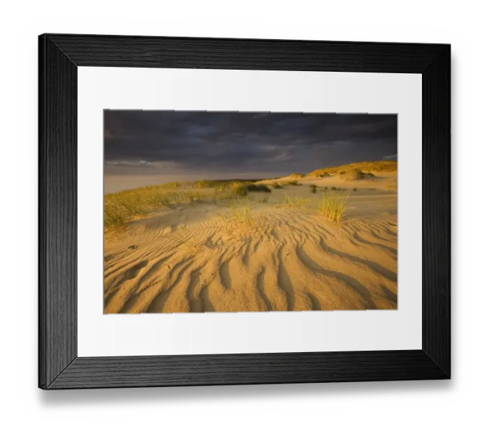 Framed Print : Sand dunes on Agilos Kopa, Nagliai Nature Reserve, Curonian Spit, Lithuania, June 2009