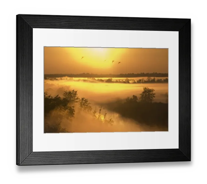 Framed Print : Mist over the Kasari river at sunrise, Kloostri, Matsalu National Park, Estonia, May 2009 Framed Print : Mist over the Kasari river at sunrise, Kloostri, Matsalu National Park, Estonia, May 2009