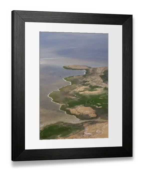 Framed Print : Aerial view of coast, Suurrahu, Matsalu National Park, Estonia, May 2009 Framed Print : Aerial view of coast, Suurrahu, Matsalu National Park, Estonia, May 2009