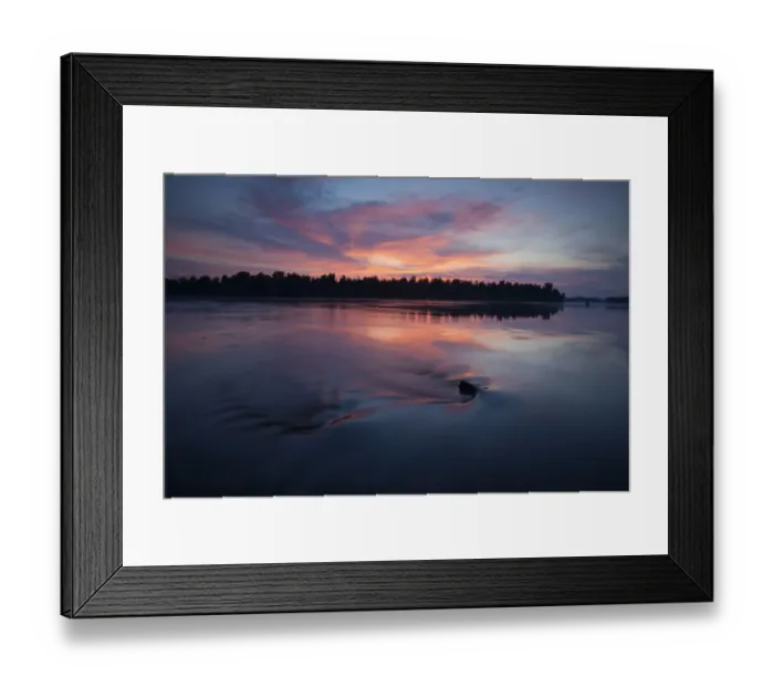 Framed Print : River Danube after sunset, Gornje Podunavlje Special Nature Reserve, Serbia, June 2009 Framed Print : River Danube after sunset, Gornje Podunavlje Special Nature Reserve, Serbia, June 2009