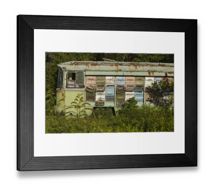 Framed Print : Bee keeping in an old bus containing the hives, cultivated border land between Croatia and Serbia Framed Print : Bee keeping in an old bus containing the hives, cultivated border land between Croatia and Serbia