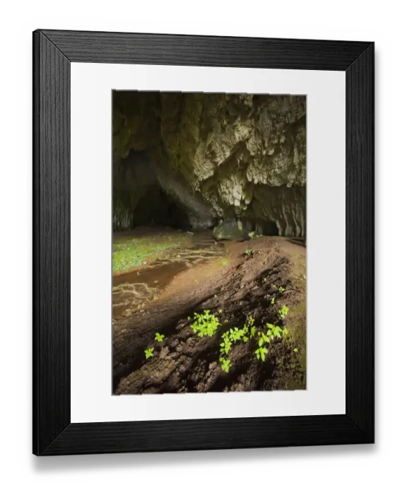 Framed Print : Stream flowing through cave, Djerdap National Park, Serbia, June 2009 Framed Print : Stream flowing through cave, Djerdap National Park, Serbia, June 2009