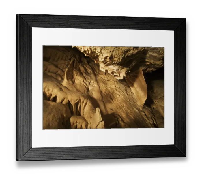 Framed Print : Apennines / Italian cave salamander (Speleomantes italicus) on cave wall, San Marino Framed Print : Apennines / Italian cave salamander (Speleomantes italicus) on cave wall, San Marino