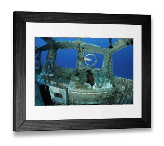 Framed Print : Fish swimming around in the wreck of P29 patrol boat, Malta, Mediteranean, May 2009 Framed Print : Fish swimming around in the wreck of P29 patrol boat, Malta, Mediteranean, May 2009