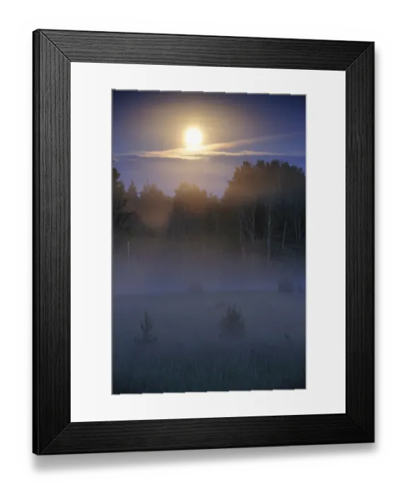 Framed Print : Lunar halo a forest with light mist, Kemeri National Park, Latvia, June 2009 Framed Print : Lunar halo a forest with light mist, Kemeri National Park, Latvia, June 2009