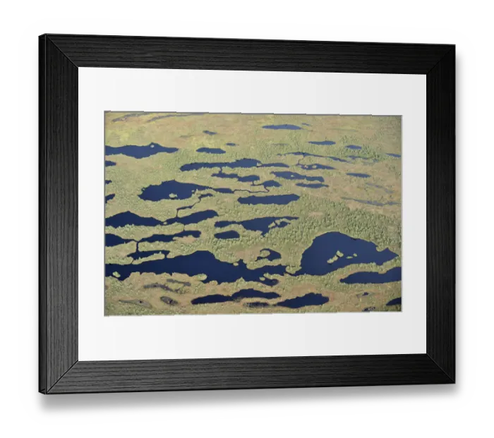 Framed Print : Aerial view of bog, Kemeri National Park, Latvia, June 2009 Framed Print : Aerial view of bog, Kemeri National Park, Latvia, June 2009