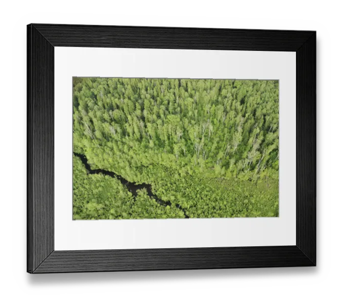 Framed Print : Aerial view of forest with a stream flowing through it, Kemeri National Park, Latvia Framed Print : Aerial view of forest with a stream flowing through it, Kemeri National Park, Latvia