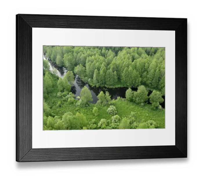 Framed Print : Aerial view of river, Kemeri National Park, Latvia, June 2009 Framed Print : Aerial view of river, Kemeri National Park, Latvia, June 2009