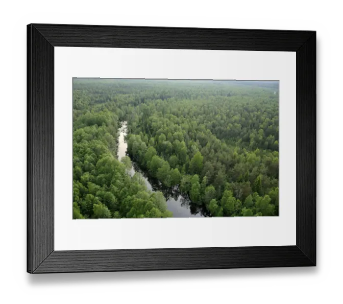Framed Print : Aerial view of river flowing through forest, Kemeri National Park, Latvia, June 2009 Framed Print : Aerial view of river flowing through forest, Kemeri National Park, Latvia, June 2009