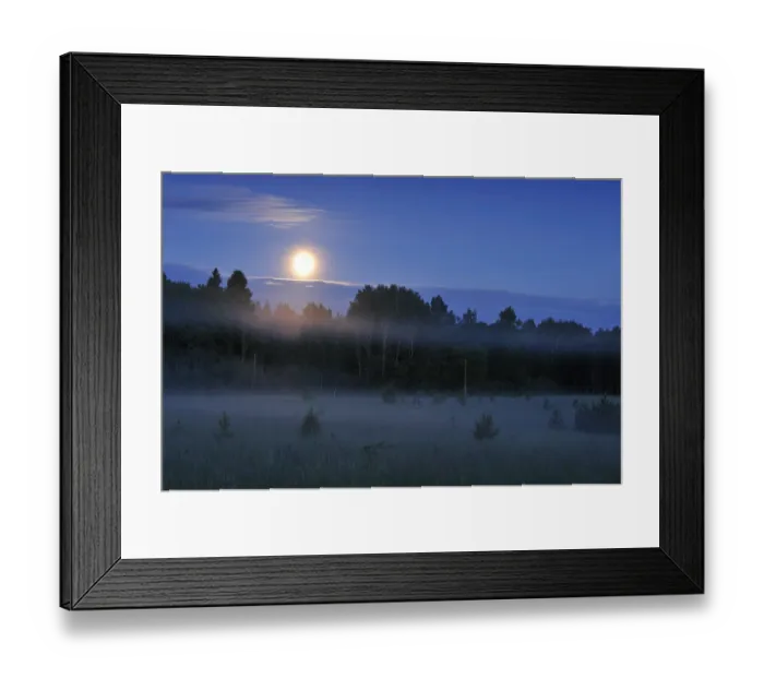 Framed Print : Moon over the Kemeri National Park, Latvia, June 2009 Framed Print : Moon over the Kemeri National Park, Latvia, June 2009