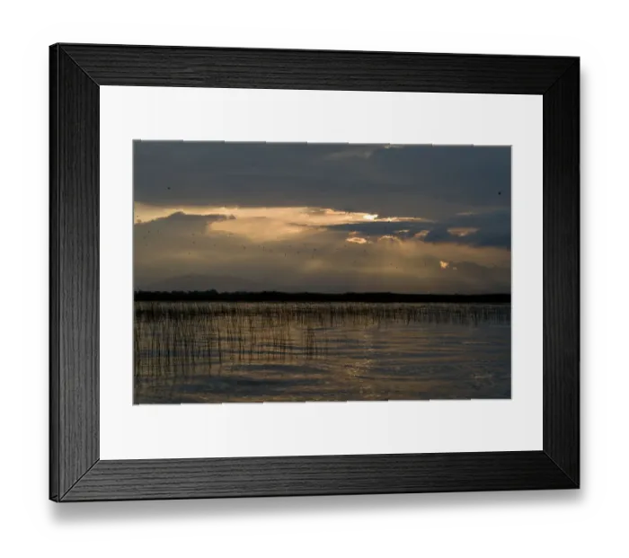 Framed Print : Lake Skadar viewed from the Albanian border, with Cormorants in flight, Lake Skadar National Park Framed Print : Lake Skadar viewed from the Albanian border, with Cormorants in flight, Lake Skadar National Park