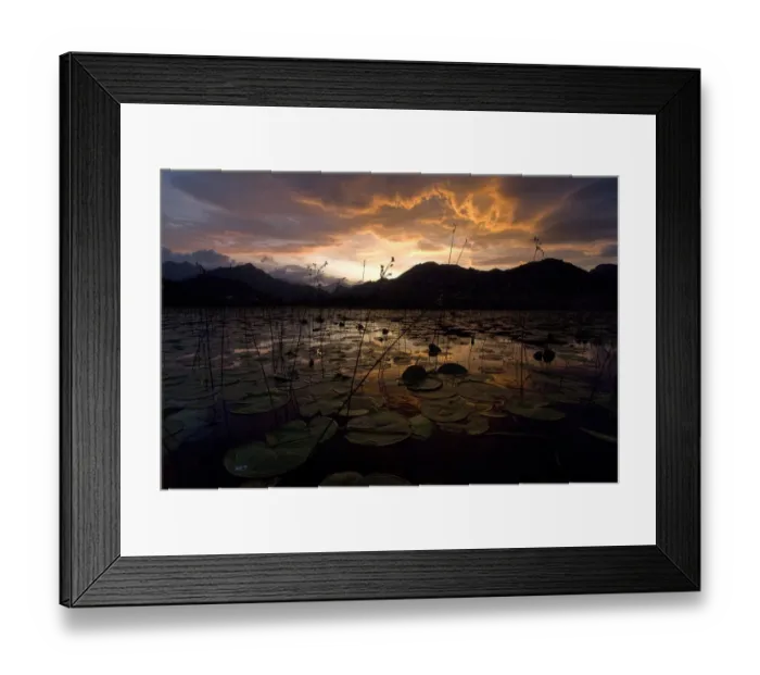 Framed Print : Lake Skadar at sunset, Lake Skadar National Park, Montenegro, May 2008 Framed Print : Lake Skadar at sunset, Lake Skadar National Park, Montenegro, May 2008