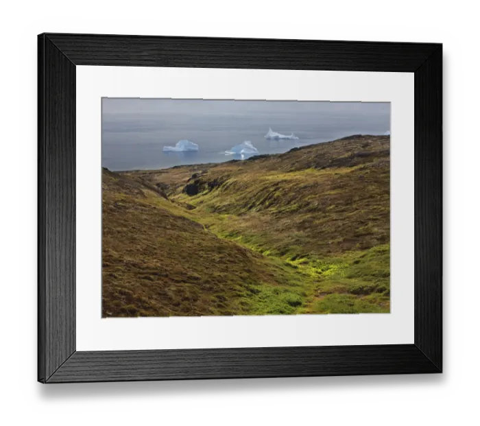 Framed Print : Icebergs just off the coast, Qeqertarsuaq, Dicko Bay, Greenland, August 2009 Framed Print : Icebergs just off the coast, Qeqertarsuaq, Dicko Bay, Greenland, August 2009