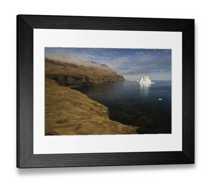 Framed Print : Icebergs just off the coast with low clouds over the cliffs, Qeqertarsuaq, Disko Bay Framed Print : Icebergs just off the coast with low clouds over the cliffs, Qeqertarsuaq, Disko Bay