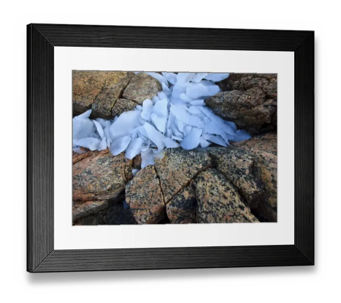 Framed Print : Ice fragments on coastal rocks, Saqqaq, Greenland, August 2009 Framed Print : Ice fragments on coastal rocks, Saqqaq, Greenland, August 2009