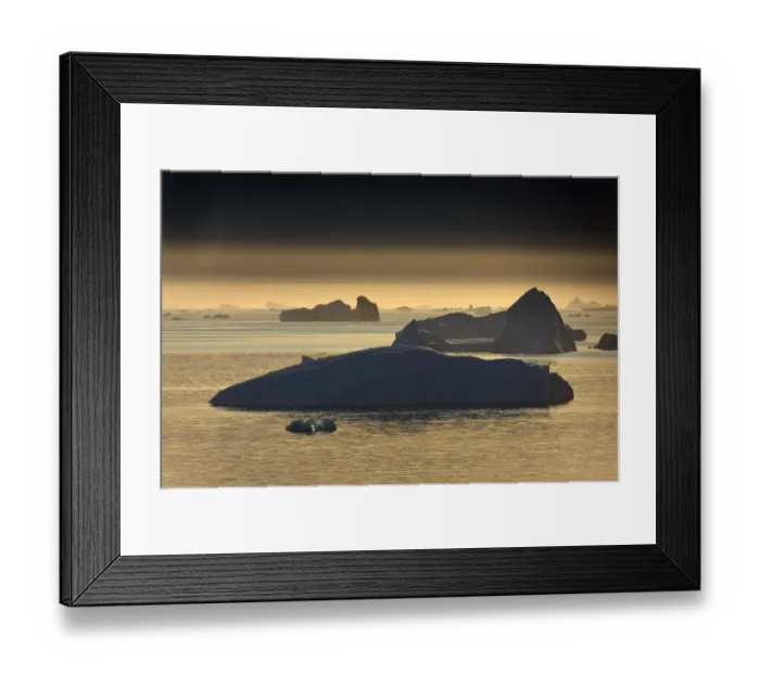 Framed Print : Icebergs, Saqqaq, Greenland, August 2009 Framed Print : Icebergs, Saqqaq, Greenland, August 2009